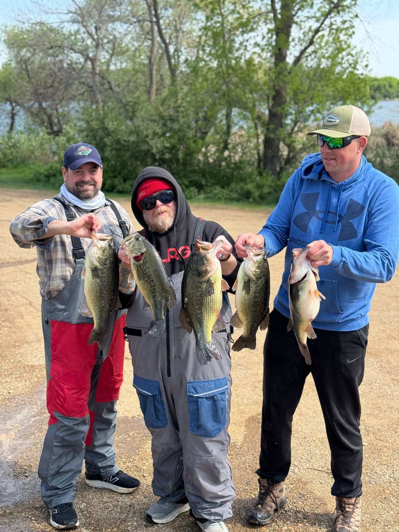 A heavy five-fish largemouth limit held up on a grassy lakeshore